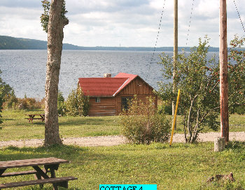 siverbirchesresort001003.jpg