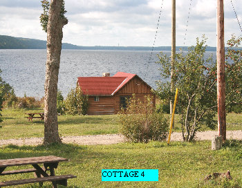 siverbirchesresort001007.jpg