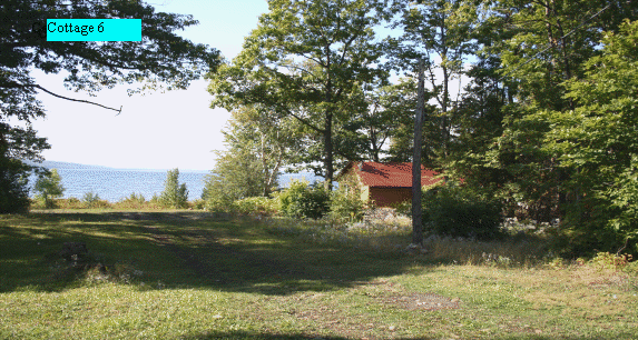 siverbirchesresort004001.gif