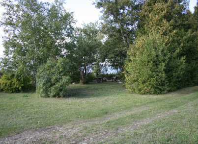 siverbirchesresort005001.jpg