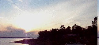 siverbirchesresort005007.gif