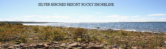 siverbirchesresort006002.gif