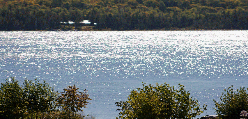 siverbirchesresort007001.gif