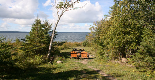 siverbirchesresort007001.jpg